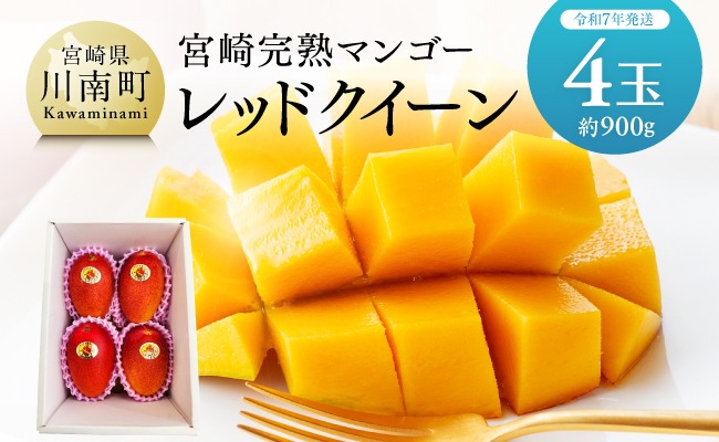 【令和7年発送】 宮崎県産 完熟マンゴー 「レッドクイーン」 4玉(900g) 【果物 フルーツ マンゴー 宮崎県産完熟マンゴー みやざき マンゴー 先行予約 数量限定 期間限定 】 ☆  [C03201]