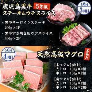 ＜6ヶ月定期便＞いちき串木野プレミアム定期便（マグロ・鰻・牛肉）【PT-004H】