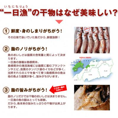 ふるさと納税 大田市 れんこ鯛(2尾)と大ぶりのどぐろ(1尾)一夜干セット　(B182) |  | 03