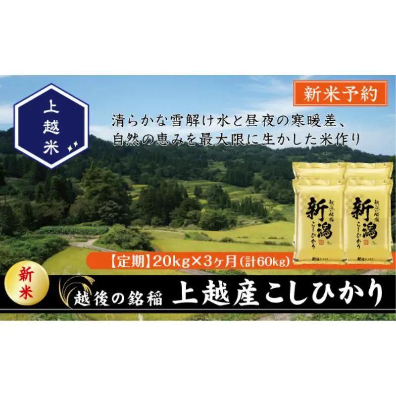 【定期便3か月】コシヒカリ 精米 上越産 コシヒカリ 20kg