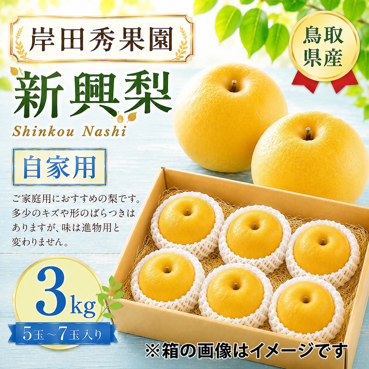 
                  【予約受付中】岸田秀果園 新興 自家用3㎏
                