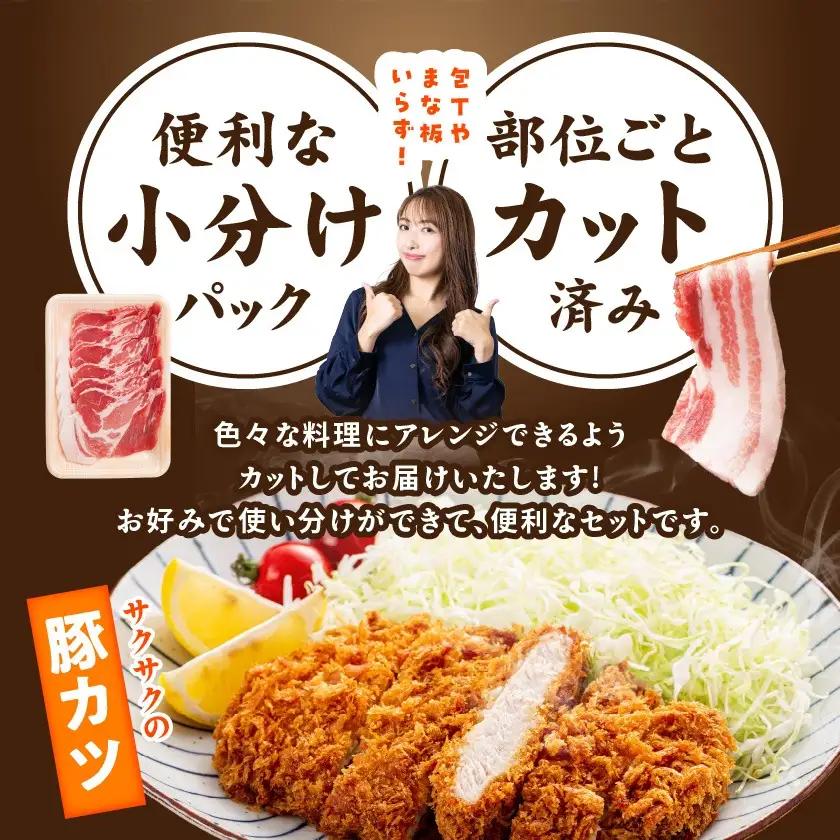 宮崎県産豚わくわく1.5kgセット(真空)〔11-84-002-1500g〕_(都城市) 豚肉 豚肉セット 宮崎県産豚 しゃぶしゃぶ バラ 焼肉 切り落とし 肩ローススライス ロース とんかつ ミンチ