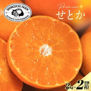 【数量限定】老舗農家が見極めたプレミアム【せとか2kg×2箱】柑橘の大トロ【F70-114】【1683910】
