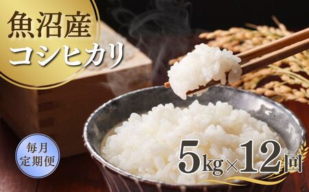 【先行予約 定期便】令和7年産新米 魚沼産コシヒカリ 5kg×全12回 吉兆楽 0038-0009DB00-01 コシヒカリ コシヒカリ コシヒカリ