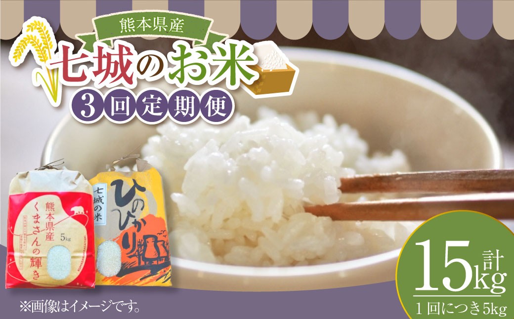 
            【年3回連続定期便】 【令和7年度産】 熊本県（七城）産のお米 計15kg（5kg×3回） ひのひかり くまさんの輝き 精米 単一原料米 お米 ごはん ご飯 国産 九州 熊本県 送料無料 【2025年10月上旬発送開始】
          