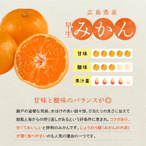 先行受付 2026年11月中旬～発送 早生みかん 約10kg 柑橘