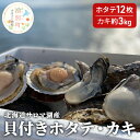 【ふるさと納税】【国内消費拡大求む】北海道サロマ湖産　貝付きホタテ12枚・カキ約3kg　魚貝類・生牡蠣・かき・牡蠣・帆立・ホタテ・貝付きホタテ・ほたて　お届け：2024年11月～2025年1月末頃まで