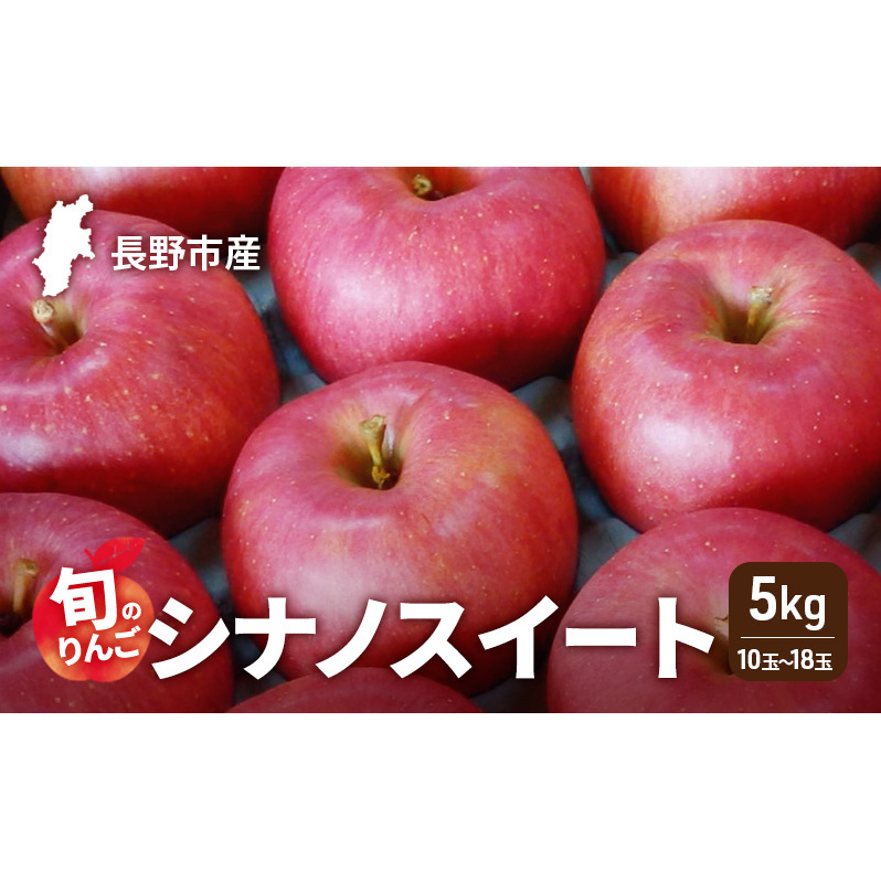 2026年発送　長野市産　旬のりんご　シナノスイート5kg　10玉～18玉 りんご リンゴ 果物 フルーツ 秋