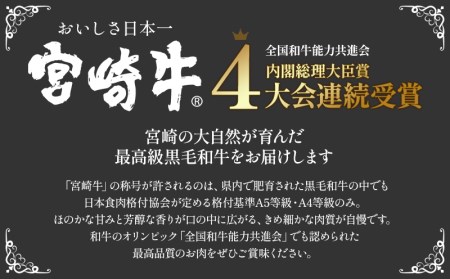 宮崎牛ステーキ食べ比べセット 計400g(サーロインステーキ・リブロースステーキ×各200g)