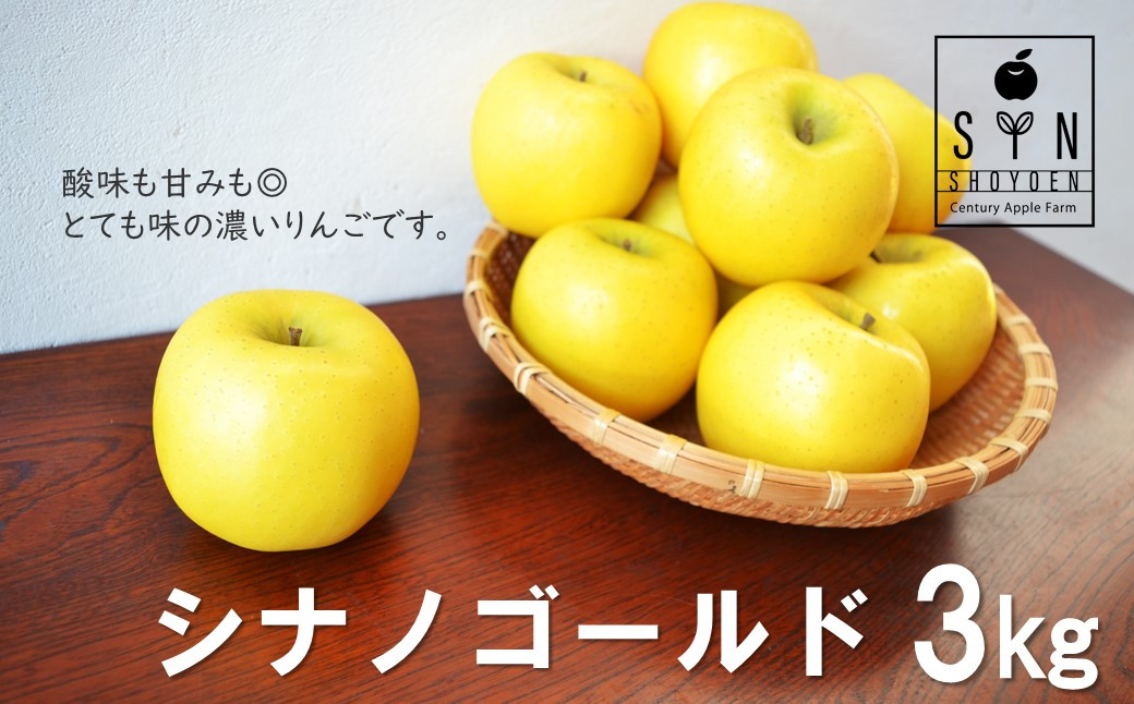 
【予約受付 2024年11月下旬から順次発送】松陽園 樹上 完熟 りんご シナノゴールド 3kg　岩手県 遠野市 農家直送
