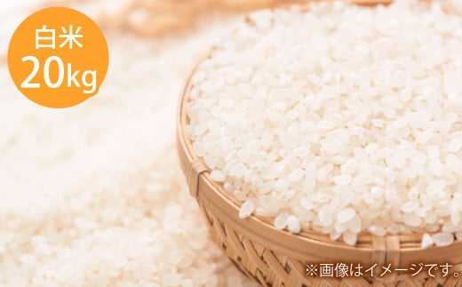 令和7年度産 岡山県倉敷市産 きぬむすめ 白米 20kg【2025年10月上旬より発送開始】