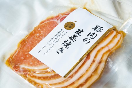 新潟県産豚 越後の特選だれ漬けセット 三条産和梨でやわらか 計10パック 約2.1kg【019S003】