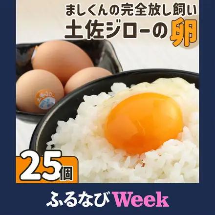 ましくんの完全放し飼い土佐ジローの卵（25個入り） 【R00443】