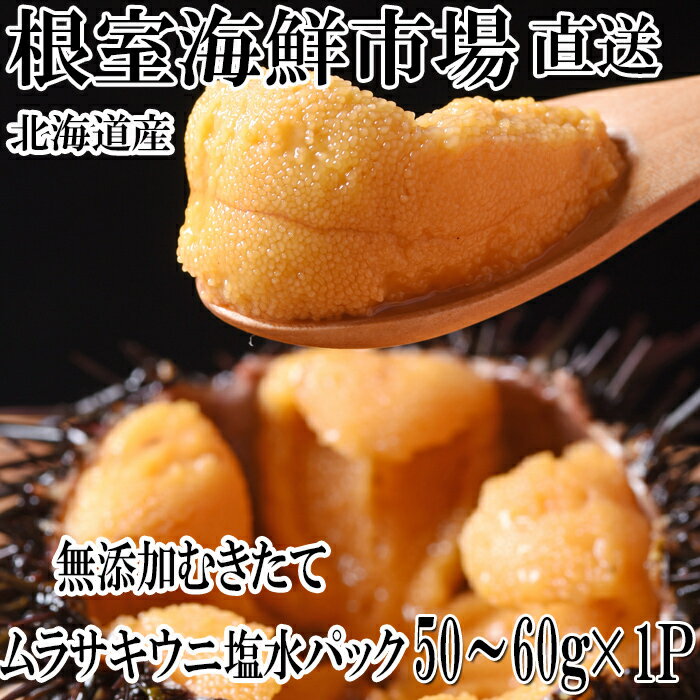 【ふるさと納税】無添加むきたてムラサキウニ塩水パック[5月初旬以降発送] (50〜60g×1P) (50〜60g×2P) (50〜60g×4P) (50〜60g×6P) (90〜100g×2P) うに 雲丹 北海道 根室市