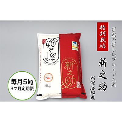 ふるさと納税 村上市 【毎月定期便】食味鑑定士いたがき謹製　新潟県岩船産特別栽培「新之助・白米5kg」全3回 | 