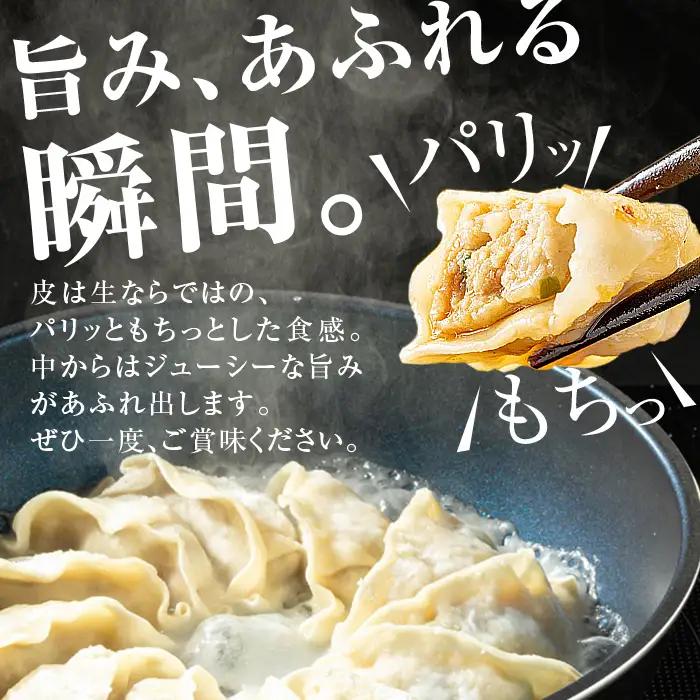 【P43002】餃子 黒豚 ギョーザ 計60個 12個入 5パック 冷凍 ぎょうざ たれ付き【財宝】