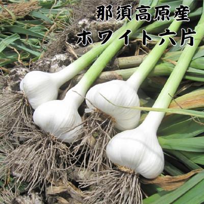 ふるさと納税 那須塩原市 那須高原産ホワイト六片 黒にんにく 140g×3袋 |  | 01