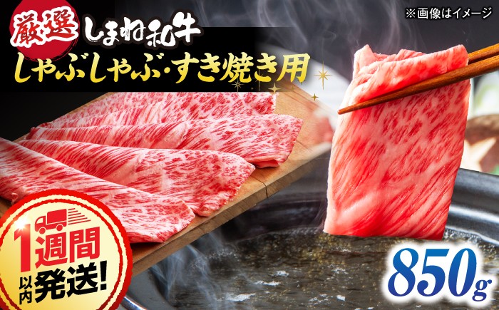 
                  牛肉 すき焼き＼スピード配送／しまね和牛 しゃぶしゃぶ/すき焼き用 計850g（170g×5P）島根県松江市/株式会社O.R.C [ALEF026]｜牛肉 肉 すき焼き しゃぶしゃぶ 小分け すきしゃぶ しまね和牛 牛肉 しゃぶしゃぶ 赤身 スライス 850g 和牛 しまね和牛赤身すきやき 牛肉赤身 すきやき牛肉 しまね和牛しゃぶしゃぶ赤身  牛肉すきやき すき焼き 国産 和牛 ブランド牛 
                