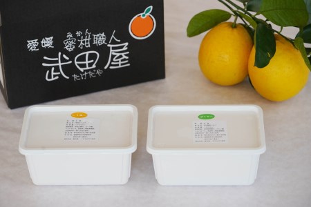 アイス 柑橘 不知火 しらぬい 河内晩柑 1000ml 2種 ギフト 詰め合わせ 有名 みかん職人 武田屋 お取り寄せ 贈り物 贈答品 氷菓 シャーベット ソルベ 美味しい フルーツ 果汁 ご当地 内