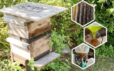 日本ミツバチ　ひでちゃんの蜂蜜