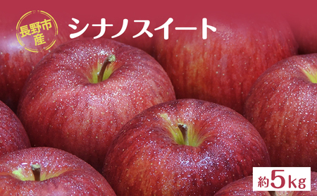2026年発送 長野市産「シナノスイート」約5kg 