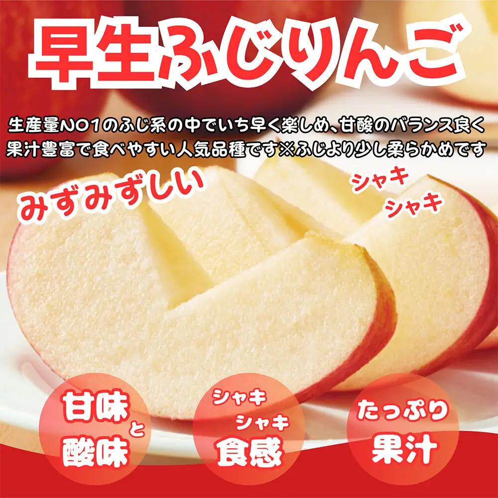 【26年10月中旬～11月下旬発送】りんご 早生ふじ 約5kg【訳あり ご家庭用】青森県産 青森 果物 フルーツ 林檎 リンゴ くだもの 弘前市