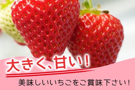 【2026年先行予約】デラックスパック やよいひめ 2p いちご イチゴ 苺 果物 フルーツ くだもの 茨城県 石岡市 A32-022