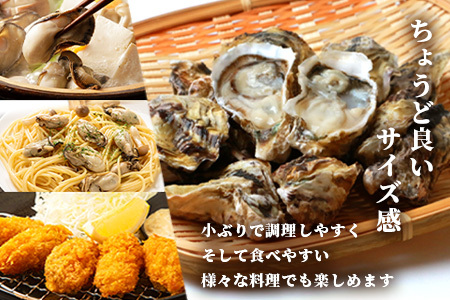 有明海産 養殖牡蠣1kg 冬季限定｜殻付き生牡蠣｜加熱調理用｜新鮮 佐賀県産 カキ【レンジで簡単調理】お正月 夕食 おつまみ おかず 佐賀県 鹿島市 人気 AA-12