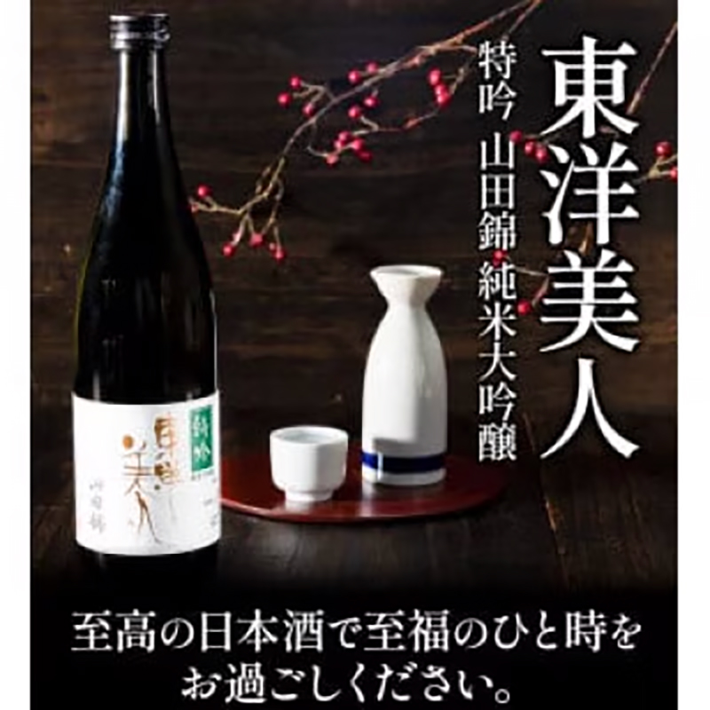 日本酒 新酒 東洋美人 特吟 山田錦 純米大吟醸 9本 計6480ml 1本あたり 720ml 福岡吟醸倶楽部株式会社《30日以内に出荷予定(土日祝除く)》福岡県 鞍手郡 鞍手町 酒 冷酒 送料無料