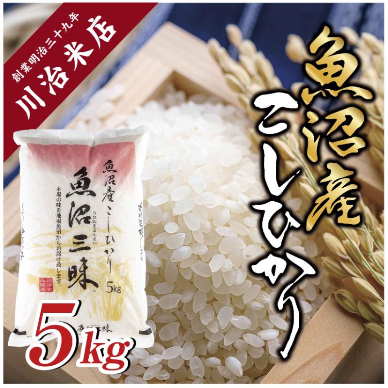 【ふるさと納税】令和6年産新米 魚沼産 コシヒカリ 5kg 米 こしひかり お米 コメ 新潟 魚沼 魚沼産 白米 送料無料 新潟県産 精米 産直 産地直送 契約農家 お取り寄せ 魚沼三昧 川治米店 新潟県 十日町市 　お届け：寄附確認後、順次発送