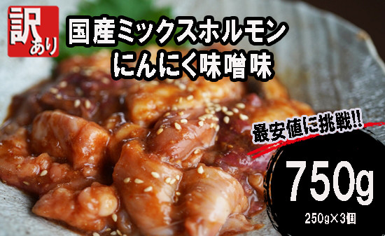 
            【 訳あり 】 国産牛 ミックスホルモン 750g (250g×3) にんにく 味噌味 ミックス ホルモン 焼き 焼肉 味付 小分け 冷凍 味噌だれ 不揃い おつまみ 国産 牛 肉
          