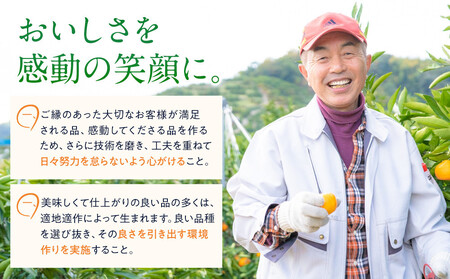 訳あり 春峰 1kg M～2Lサイズおまかせ 高石垣ファーム