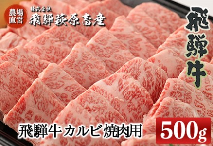 【年内順次発送】飛騨牛カルビ焼肉用（500g）最高級 国産 牛肉 ブランド牛 和牛  年内配送 年内発送 年内に届く 年内お届け【22-24n】【冷凍】