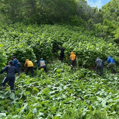 ふるさと納税 斜里町 クマ活ステッカー |  | 02
