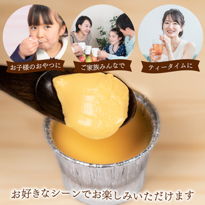 小月プリン 6個入 | プリンプリンプリンプリンプリン LD001