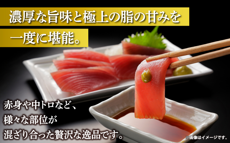 本マグロ切り落し 400g 1個80g 小分け 赤身 トロ 中トロ