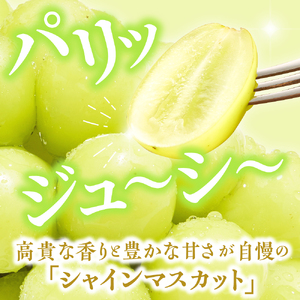 ぶどう ( シャインマスカット ) 1.2kg フルーツ 果物 山形 08-08-016