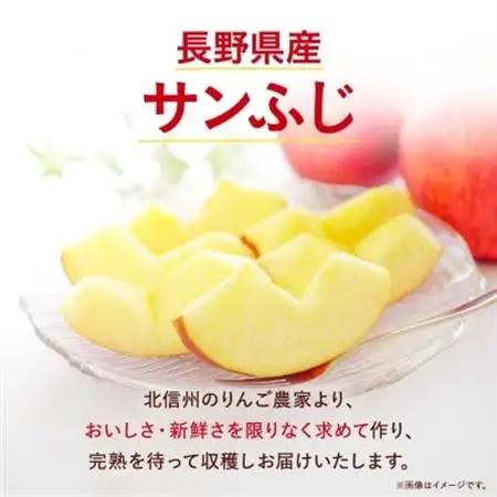 【先行受付】長野県産 サンふじ りんご 家庭用 訳あり 8kg(18～32玉)【1449697】