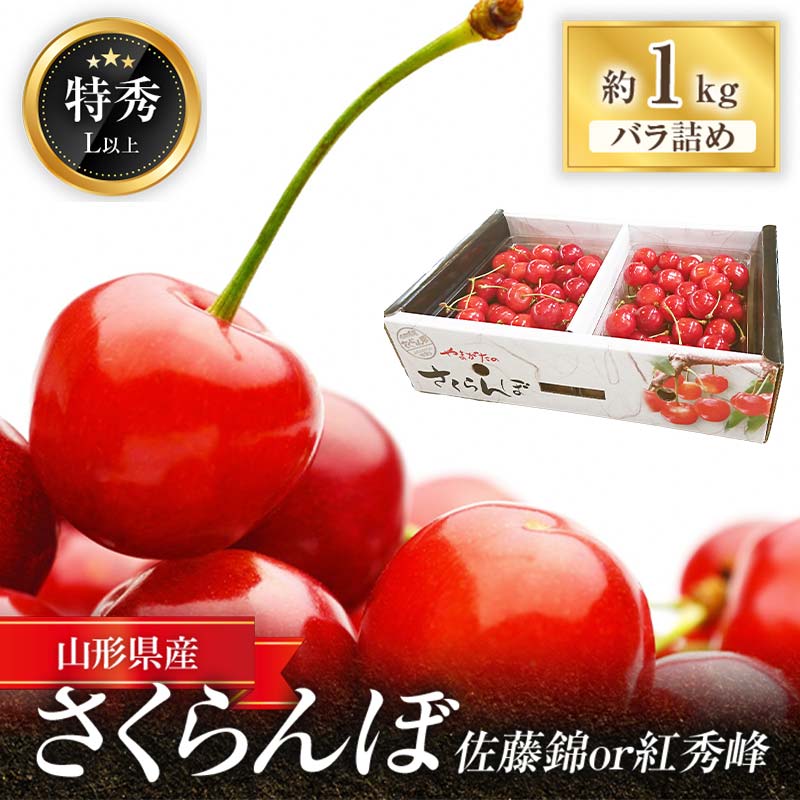 【ふるさと納税】 【令和8年産先行予約】 さくらんぼ「佐藤錦または紅秀峰」 約1kg (特秀 L以上) 《令和8年6月中旬～発送》 『マルエ青果』 先行予約 サクランボ 果物 フルーツ 山形県 南陽市 [1115]