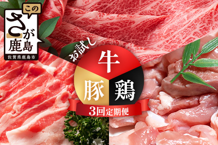 合計3.02kg 定期便 3回 佐賀の牛・豚・鶏 お試し定期便 E-173