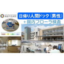 【ふるさと納税】【富山県南砺市】南砺市民病院 日帰り人間ドック(男性)＋腸内フローラ検査 | 日帰りドックコース 人間ドック 血液検査 生活習慣病予防健診 腸内フローラ検査 がん検診