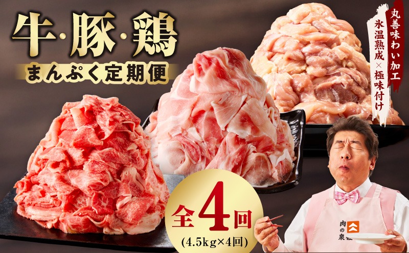 mrzZ021 国産 牛肉＆豚肉＆鶏肉 まんぷく 定期便 5kg×4回【氷温熟成×極味付け 3種 食べ比べ 普段使い 味付き 小分け 訳あり サイズ不揃い 】