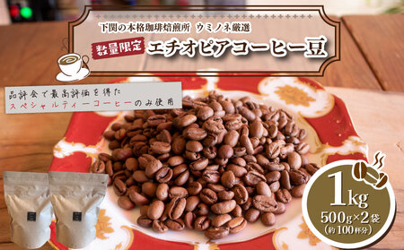 【深煎り】 訳あり コーヒー豆 1kg ( 500g × 2袋 )  エチオピア ( コーヒー 珈琲 コーヒー豆 出荷当日 自家焙煎 数量限定 スペシャルティコーヒー ウミノネコーヒー 下関 山口 ｺｰﾋｰｺｰﾋｰｺｰﾋｰｺｰﾋｰｺｰﾋｰｺｰﾋｰｺｰﾋｰｺｰﾋｰｺｰﾋｰｺｰﾋｰｺｰﾋｰｺｰﾋｰｺｰﾋｰｺｰﾋｰｺｰﾋｰｺｰﾋｰｺｰﾋｰｺｰﾋｰｺｰﾋｰｺｰﾋｰｺｰﾋｰｺｰﾋｰｺｰﾋｰｺｰﾋｰｺｰﾋｰｺｰﾋｰｺｰﾋｰｺｰﾋｰｺｰﾋｰｺｰﾋｰｺｰﾋｰｺｰﾋｰｺｰﾋｰｺｰﾋｰｺｰﾋｰｺｰﾋｰｺｰﾋｰｺｰﾋｰｺｰﾋｰｺ