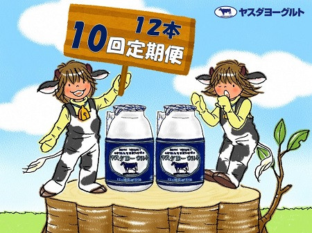 
                  【10ヶ月定期便】ヤスダヨーグルト 150g×12本×10回 小ボトル 無添加 搾りたて こだわり生乳 濃厚 飲むヨーグルト のむよーぐると ヨーグルト 1B05061
                