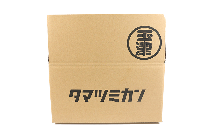 温州みかん 早生温州 家庭用 9kg 玉津柑橘倶楽部 B010-072001