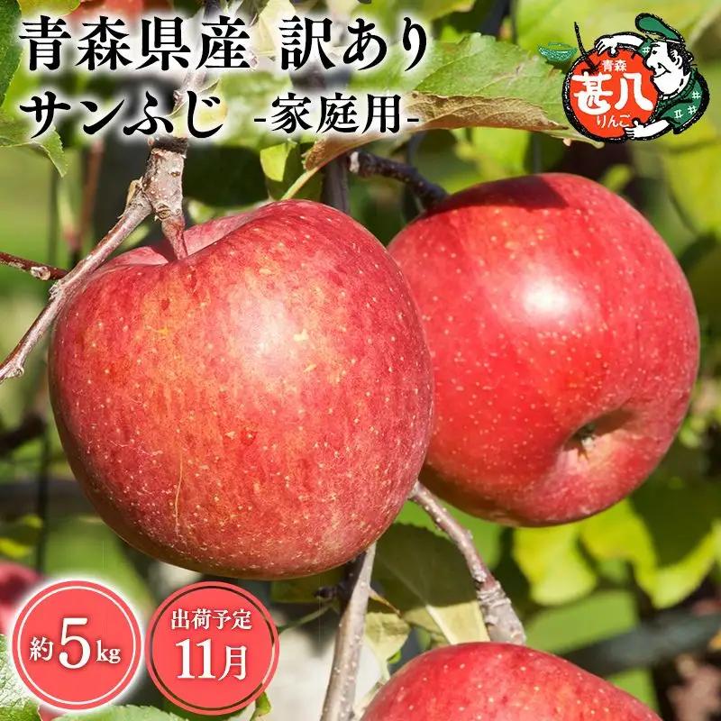りんご 家庭用サンふじ５kg りんご