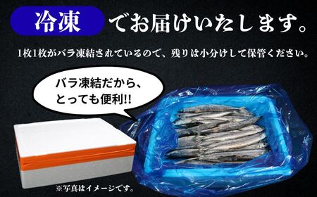 訳あり さんま 40尾 数量限定 増量 中 45尾 訳あって 【 さんま 】 ヤマニンベン