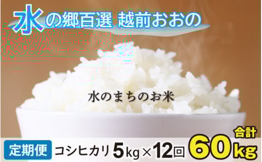 【令和7年産 新米】【12ヶ月定期便】こしひかり 5kg×12回 計60kg【白米】「エコファーマー米」水のまちのお米