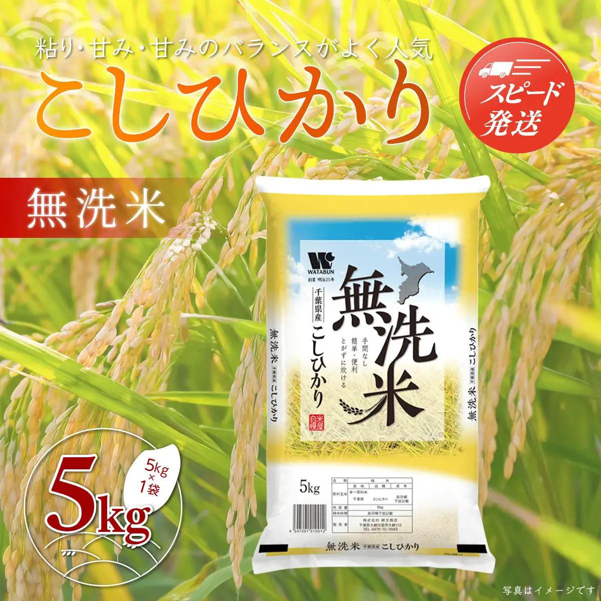 新米 令和8年産 千葉県産「コシヒカリ」無洗米 5kg（5kg×1袋） ふるさと納税 米 無洗米 コシヒカリ こしひかり 千葉県 大網白里市 A051