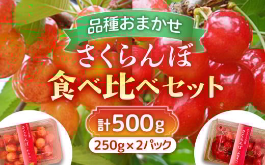 【2026年発送先行予約】さくらんぼ食べ比べセット 500g＜さくらんぼ2種入り　各250g＞　※2026年6月～発送開始予定※